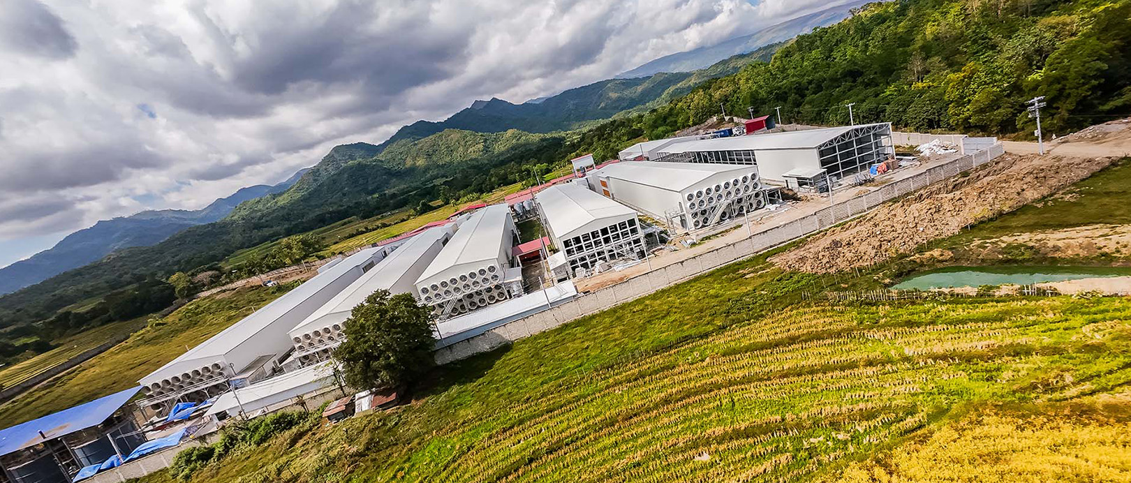 Proyecto de cultivo en jaulas de ponedoras en Filipinas