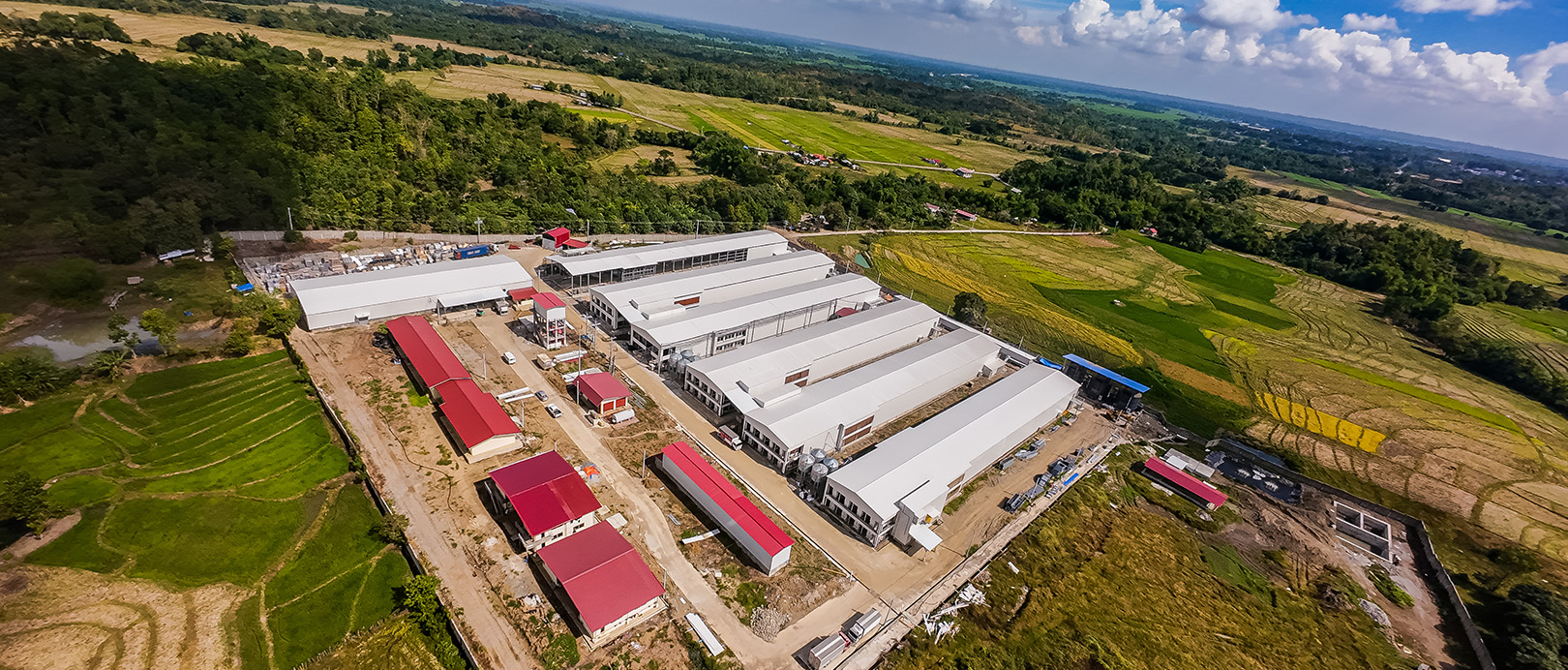 Proyecto de cultivo en jaulas de ponedoras en Filipinas