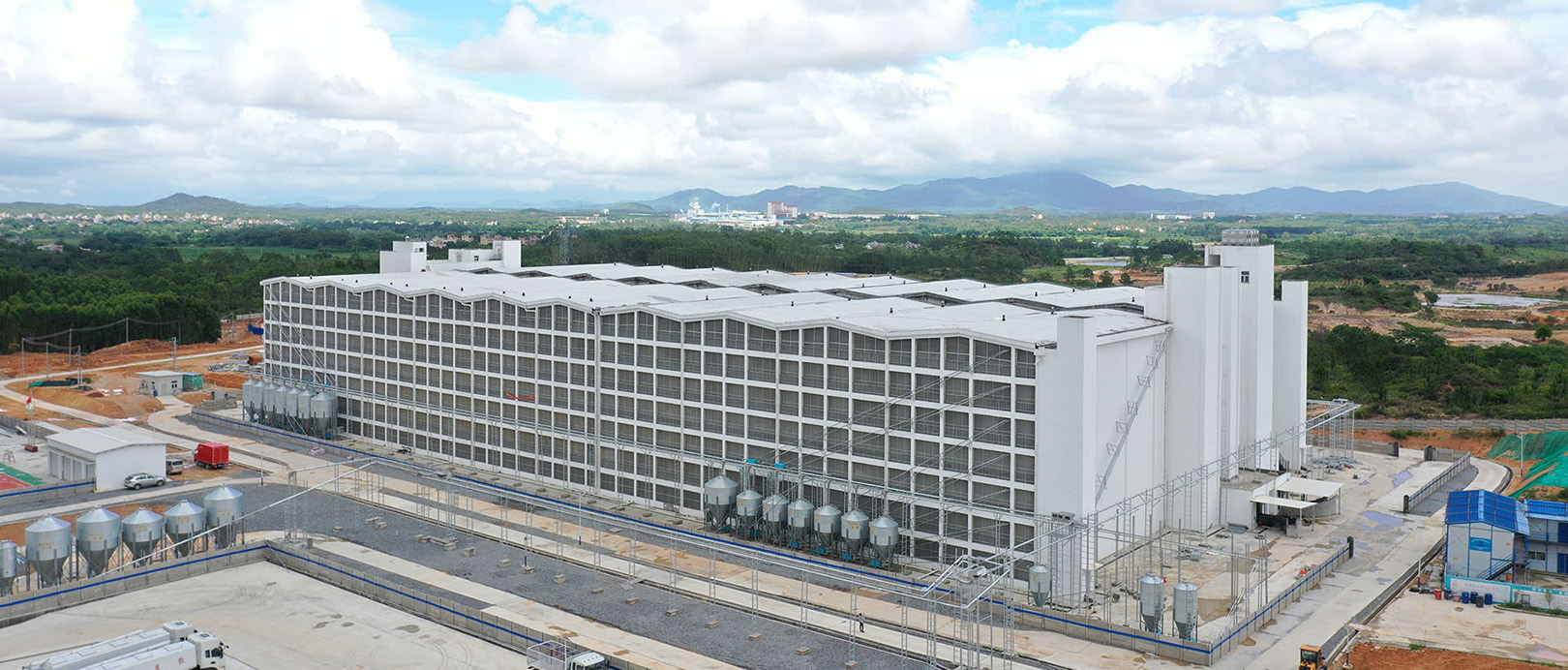 Proyecto de cr&iacute;a de cerdos de 500.000 cabezas de Tangrenshen