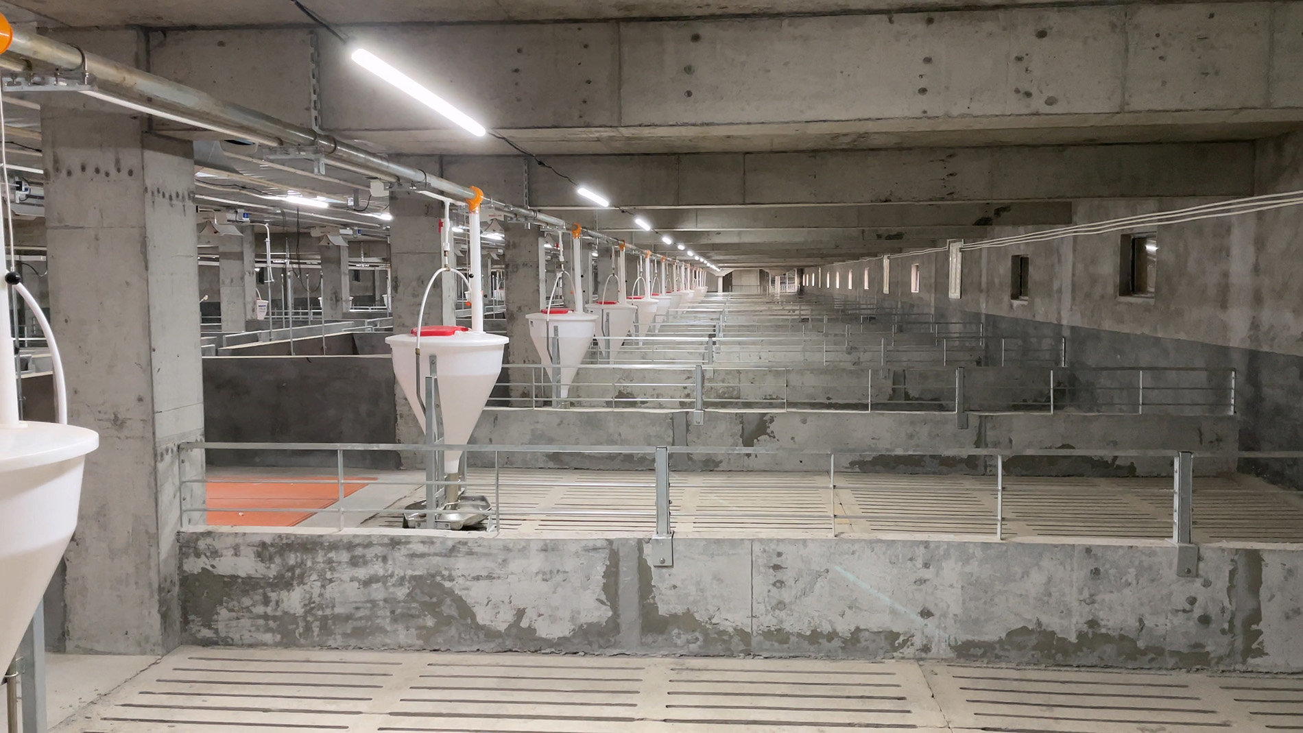 Proyecto de cría de cerdos de 500.000 cabezas de Tangrenshen