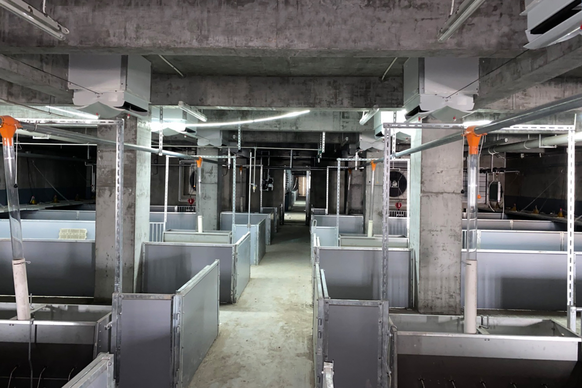 El proyecto de construcción de varias plantas de Dekon