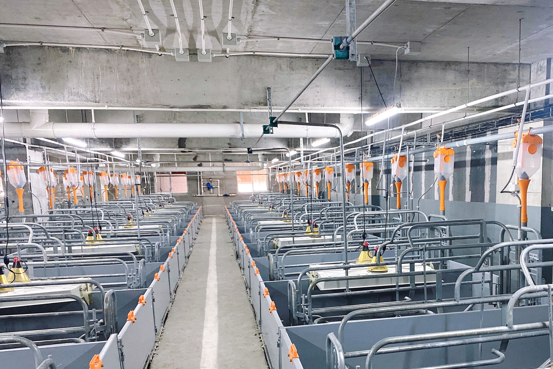 El proyecto de construcción de varias plantas de Dekon