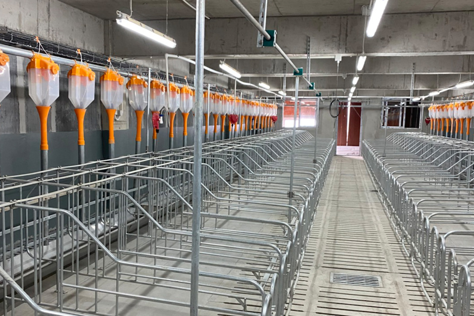 El proyecto de construcción de varias plantas de Dekon