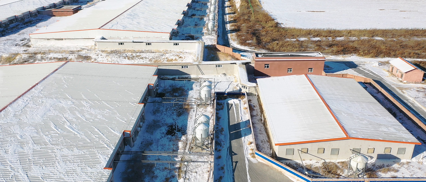 Proyecto ganadero de pancarta frontal del ala derecha de Horqin