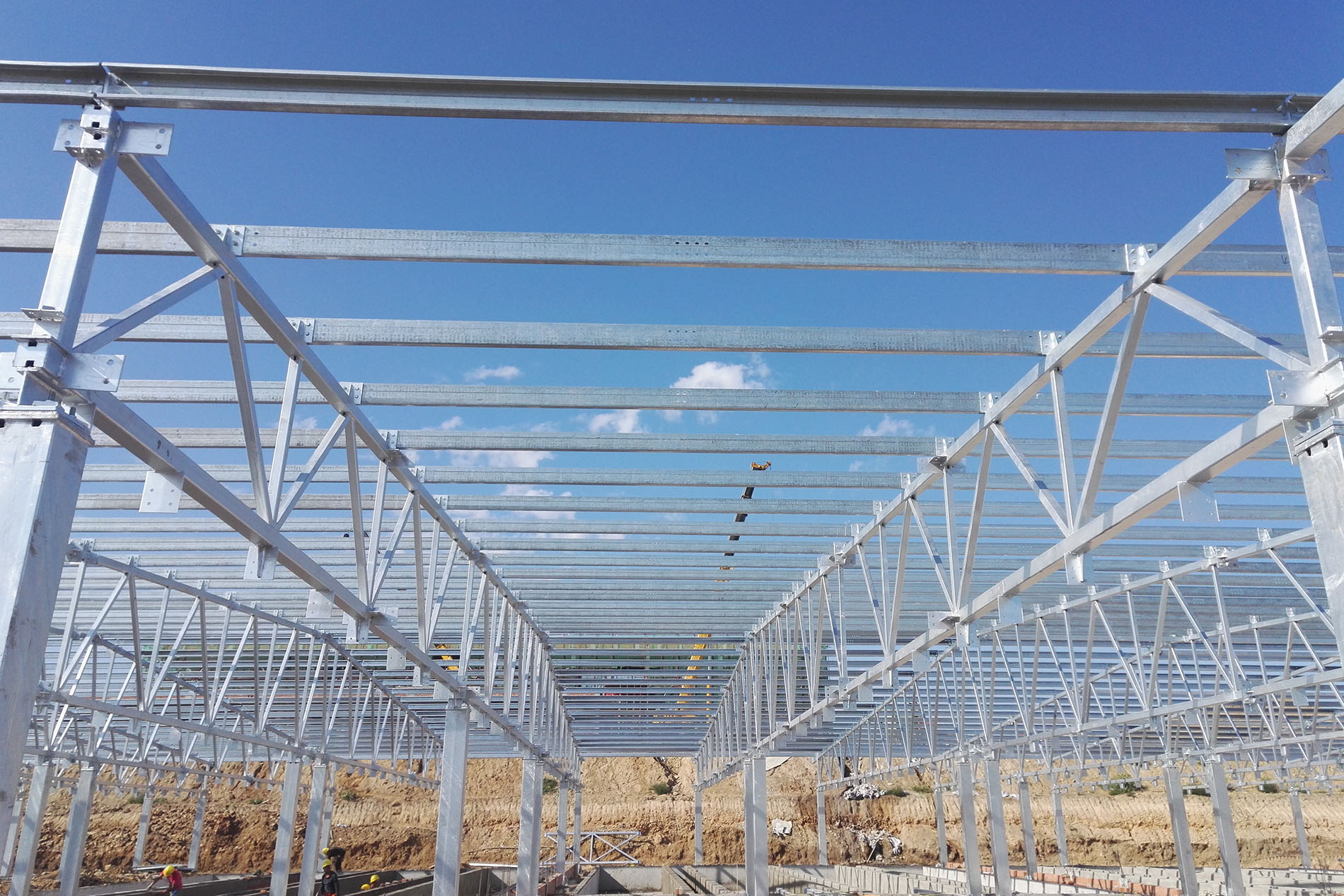 Proyecto ganadero Wens